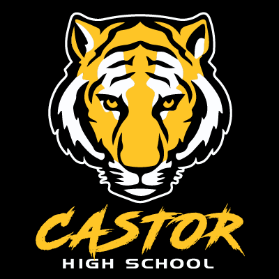 CASTOR HIGH SCHOOL